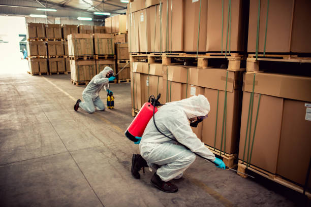 Best Flea Control Services  in Scottsburg, IN