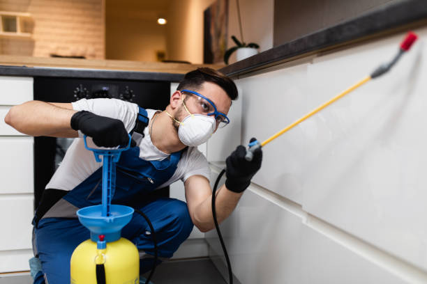 Best Termite Control Services  in Scottsburg, IN