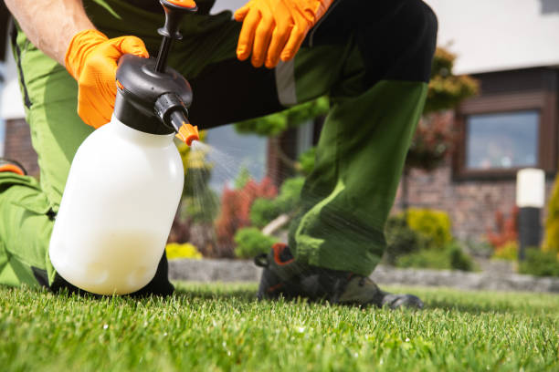 Best Pest Inspection Near Me  in Scottsburg, IN
