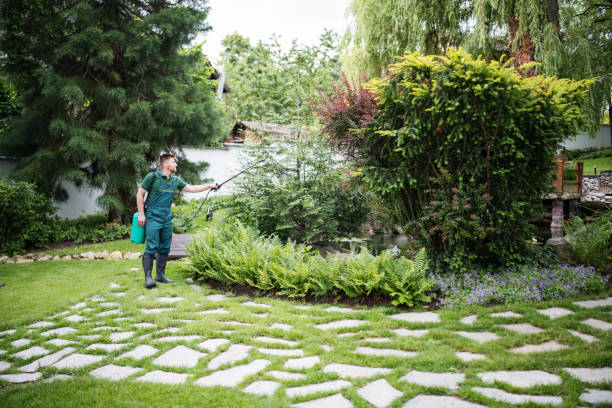 Best Residential Pest Control  in Scottsburg, IN