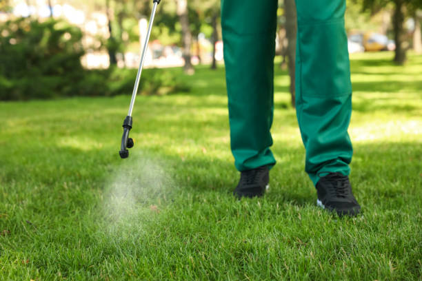 Best Pest Inspection Near Me  in Scottsburg, IN