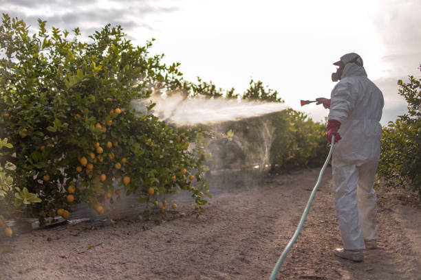Trusted Scottsburg, IN Pest Control Experts
