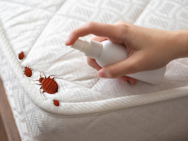 Best Best Pest Control Companies  in Scottsburg, IN