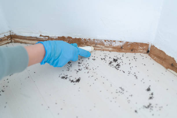Best Wildlife Control Services  in Scottsburg, IN